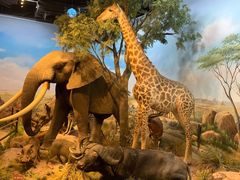 -陕西自然博物馆