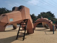 -广州长隆飞鸟乐园