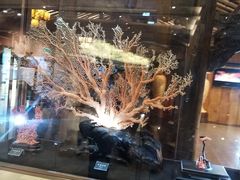 -绮丽珊瑚(台北101旗舰门市店)