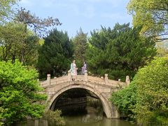 -上海醉白池公园