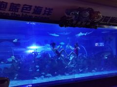 -成都浩海立方海洋公园