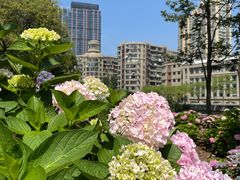 -北外滩滨江绿地