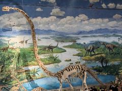 -自贡恐龙博物馆