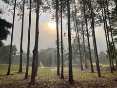 -中国科学院西双版纳热带植物园