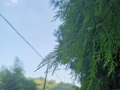 -途中饭店(开化店)