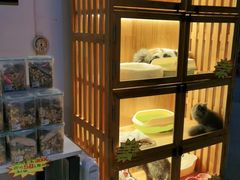 -转角宠物(转塘方家苑店)