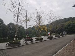 -知美术馆