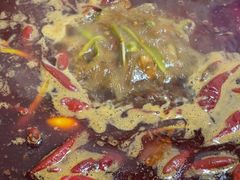 -黄潇洒老火锅(九眼桥宏济巷店)