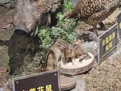 -陕西自然博物馆