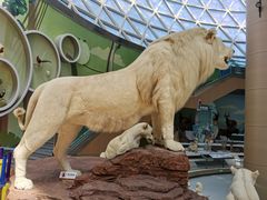 -陕西自然博物馆