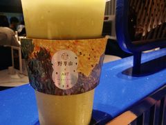 -野萃山·潮汕厚果汁(十亩地店)