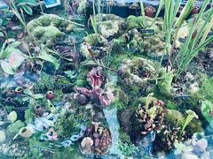 -国家植物园南园