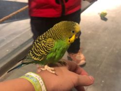 -酷嗒动物文化乐园(cutezoo西溪乐天城店)