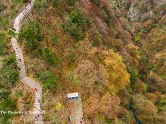 -王顺山国家森林公园