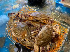 -舌尖上·霞浦滩涂海鲜·新闽菜(总店)