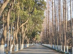 -虞山风景区