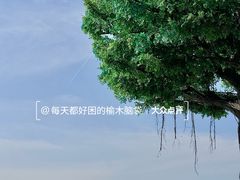 -咸阳湖景区