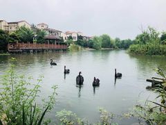 -佘山银湖别墅