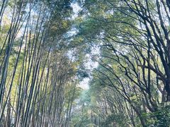-同里国家湿地公园