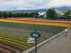 -富田农场