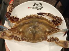 -初色海鲜自助(万丰路店)