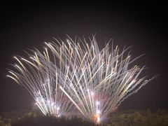 -大塘金香草谷