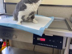 -爱派特动物医院·全科诊疗中心