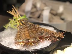 基围虾-官也街澳门火锅(新源里店)