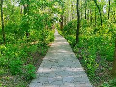 -黑龙江省森林植物园