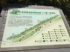 景点-宝安西湾红树林湿地公园