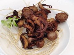 品海小巴蛸-品海楼·大连海胆锅贴馆(东港店)