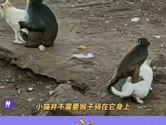 -云南野生动物园