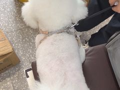 -宠物家(角门东店)