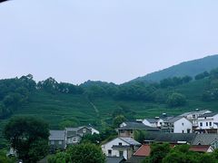 -龙井村