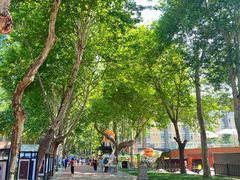 -西安电影制片厂