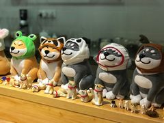 -柴务处·柴犬主题狗咖