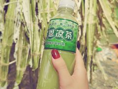-黎雪珍凉茶(北京路店)