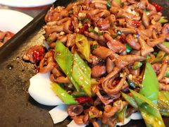 鹅杂-大鹅岛绿色生态美食园