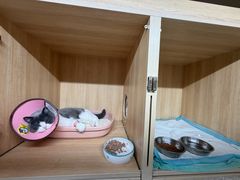 -谐和益家动物医院·免疫绝育·血液透析·宠保定点医院(高新伊藤分院)