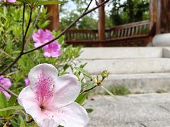 -乌山风景区
