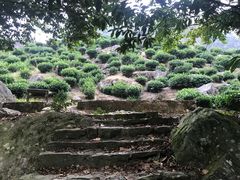 -石台牯牛降景区