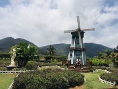 -亚龙湾国际玫瑰谷