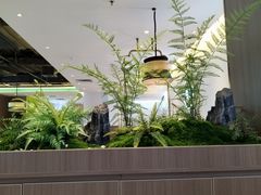 -玲珑·新粤菜(安华汇店)