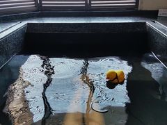 -春晖园度假酒店温泉