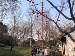 -枫桥景区