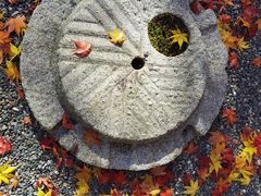 -西芳寺(苔寺)