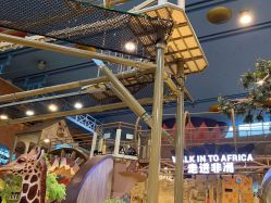 点击看大图 -卡通尼·Safari非洲探索乐园·生日会(金桥国际商业广场店)