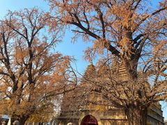 -北京石刻艺术博物馆(五塔寺)