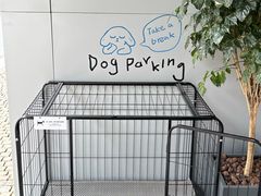 -中旅阿那亚九龙湖·公主酒店