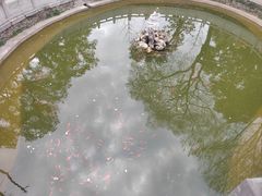 -宝通禅寺